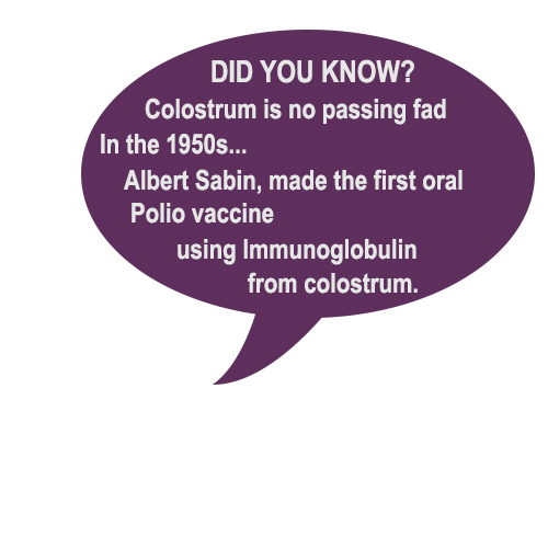 colostrum speech bubble-2 colostrum speech bubble-2